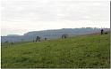 Tour Taunus 021